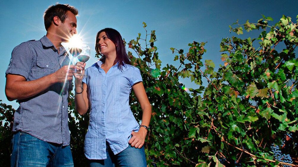 Foto 1 von 4 laden Two people drinking wine in a vineyard