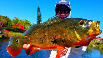 Miami Peacock Bass Fishing Trip