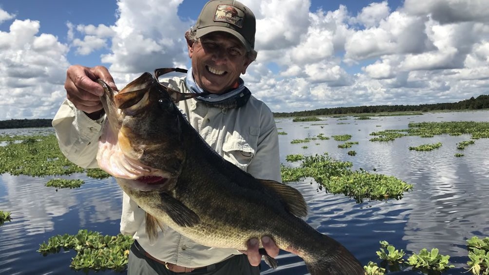 Show item 1 of 10. Gainesville Bass Fishing Trip
