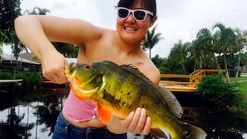Key Largo Peacock Bass
