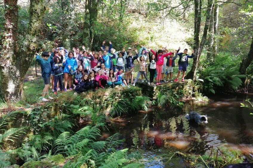 Excursion through Grixalba, Ruta dos Muíños and Cheese Workshop