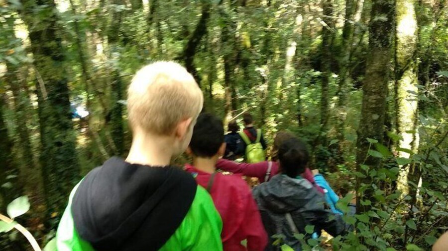 Excursion through Grixalba, Ruta dos Muíños and Cheese Workshop