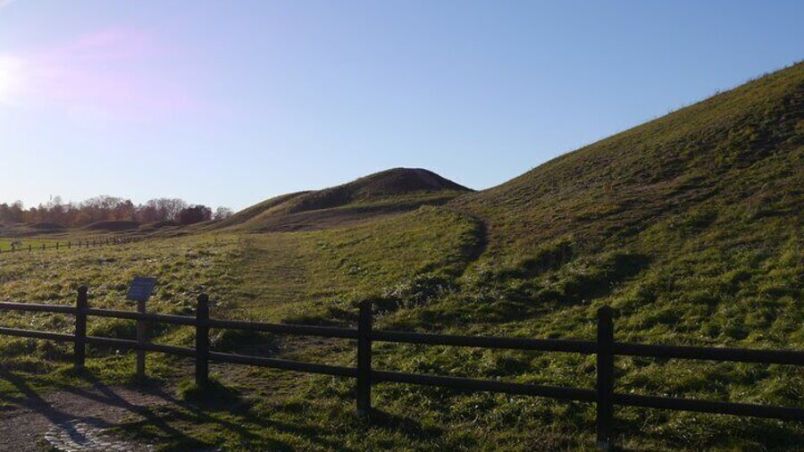 Guided tour 90min at Old Uppsala mounds and old Uppsala church