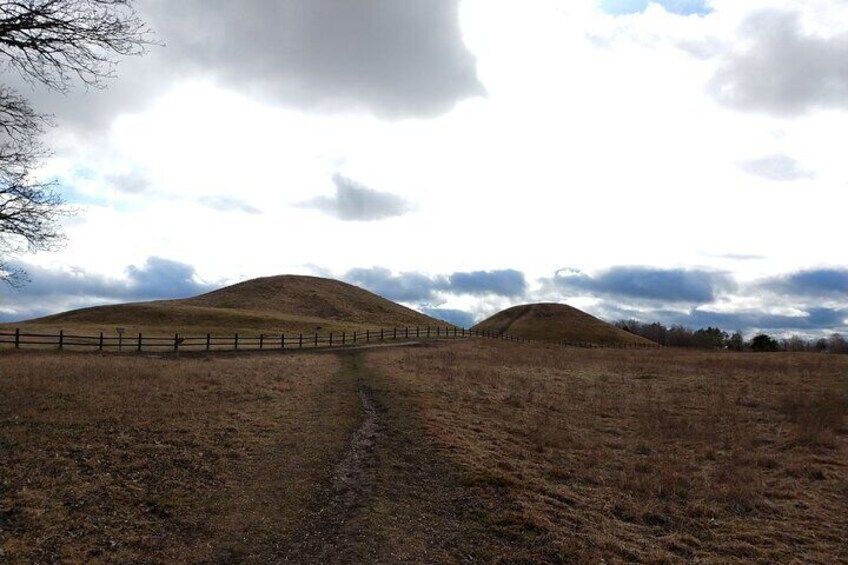 Guided tour 90min at Old Uppsala mounds and old Uppsala church