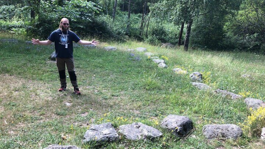 Viking Age at Arkils Tingstad, Vallentuna 1h.