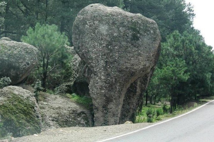 Elephant Stone