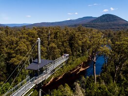 Tahune Adventures Admission