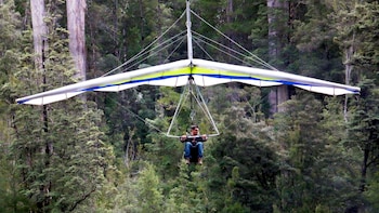 Eagle Hang Glider Experience at Tahune Airwalk