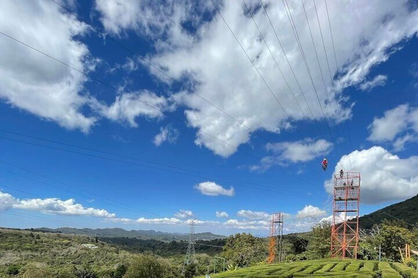Bicycle Ziplining + visit Ruta de Flores and San Salvador Rainbow Slide
