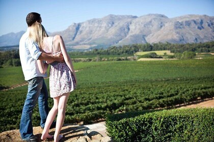Private Full-Day Stellenbosch Wine Tour
