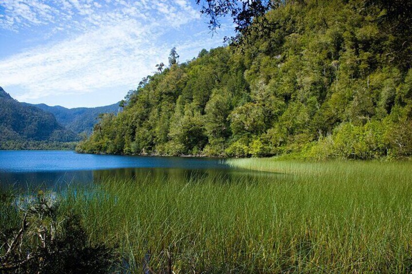 Trekking Alerce Andino National Park