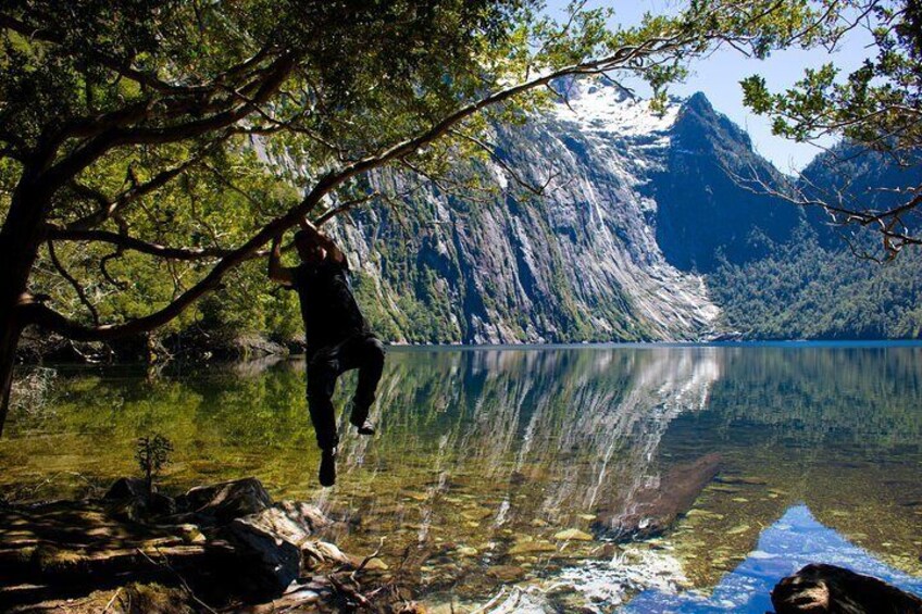 Trekking Alerce Andino National Park