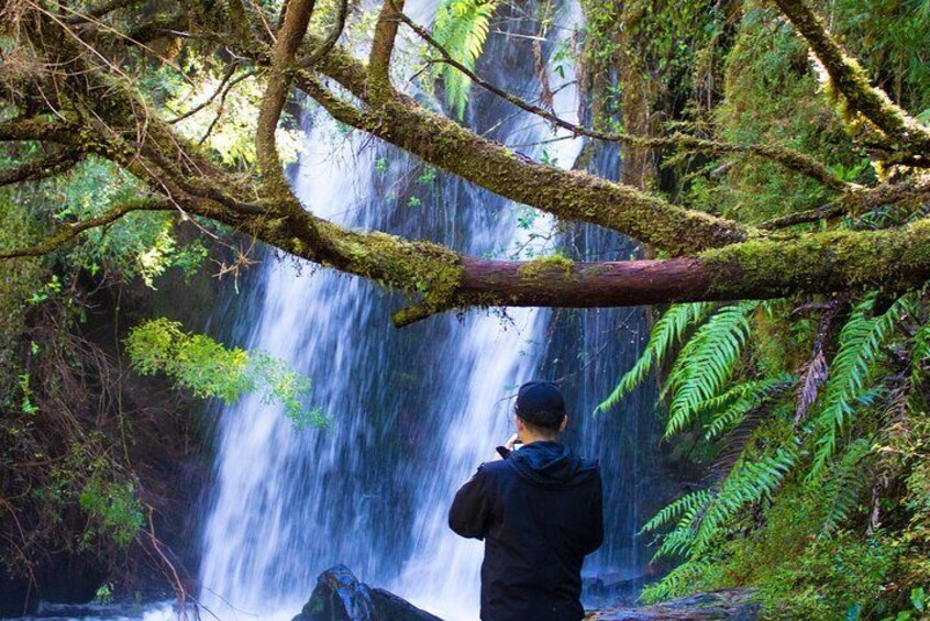 Trekking Alerce Andino National Park