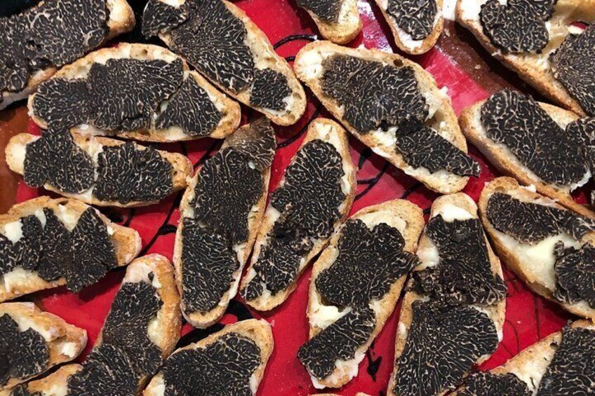 Truffle farm visit and cavage with a dog in all seasons