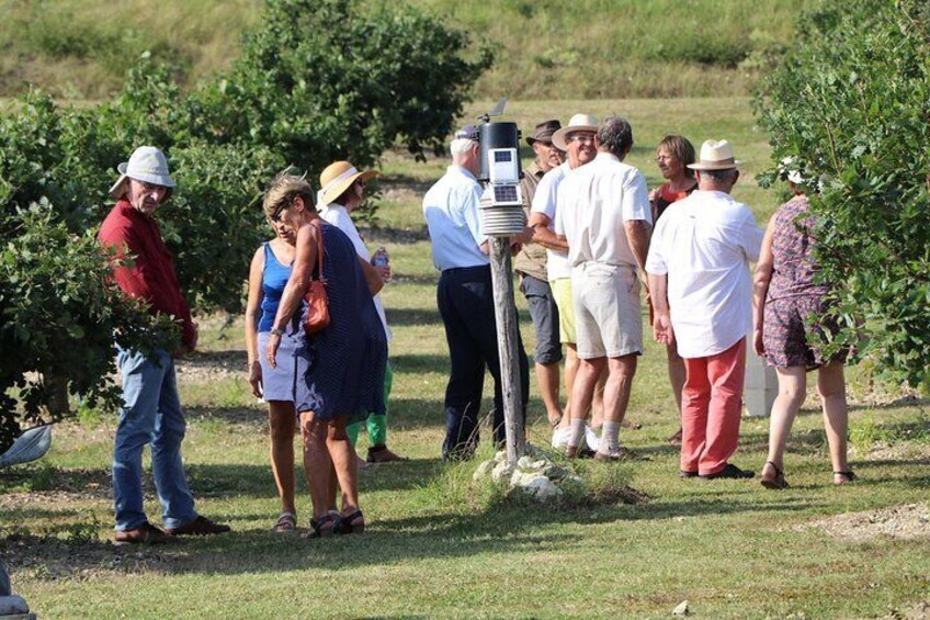 Truffle farm visit and cavage with a dog in all seasons