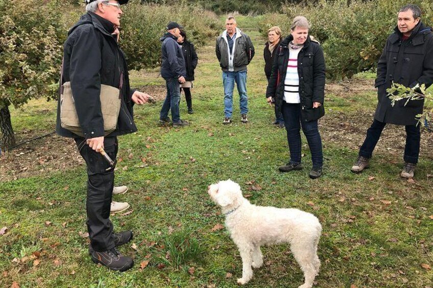 Truffle farm visit and cavage with a dog in all seasons