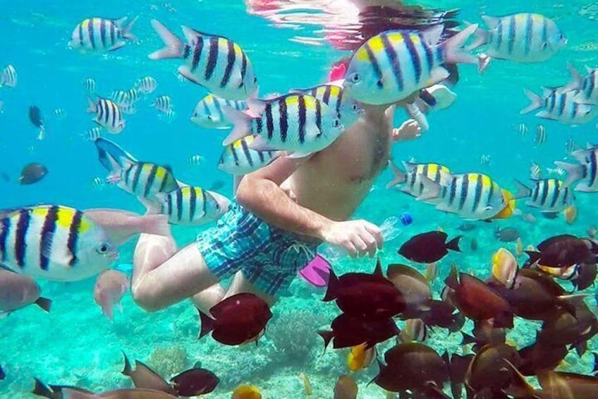 Full-Day Private Guided Lombok Snorkeling 3 Gili Islands