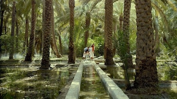 Full-Day Al Ain Private Customisable City Tour