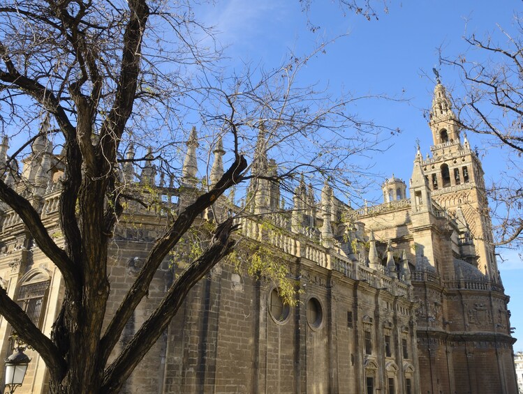 Skip-the-Line Visit to Seville Cathedral