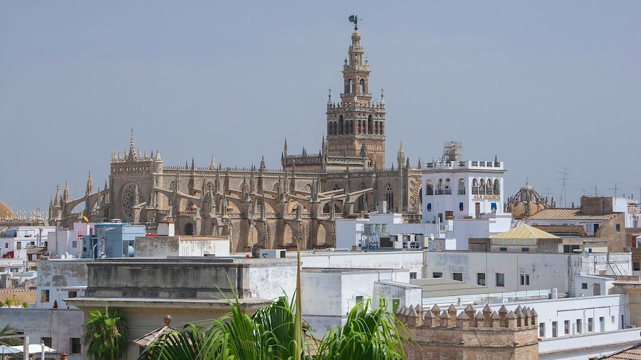 Skip the line combo tour to Alcazar & Cathedral of Seville