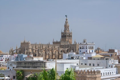 Combo de visita guiada en inglés al Alcázar y la Catedral de Sevilla