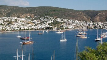 Full-Day City & Halicarnassus Tour with Lunch