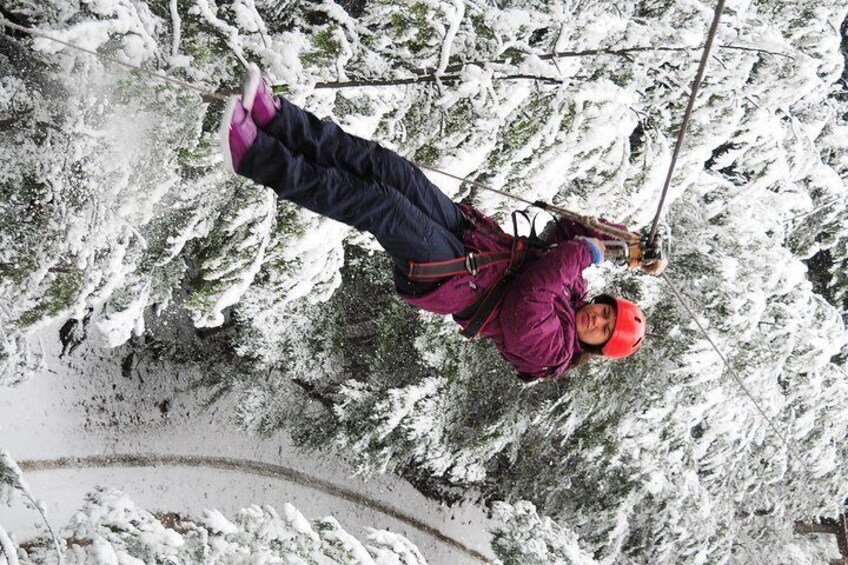 Canopy in Bariloche