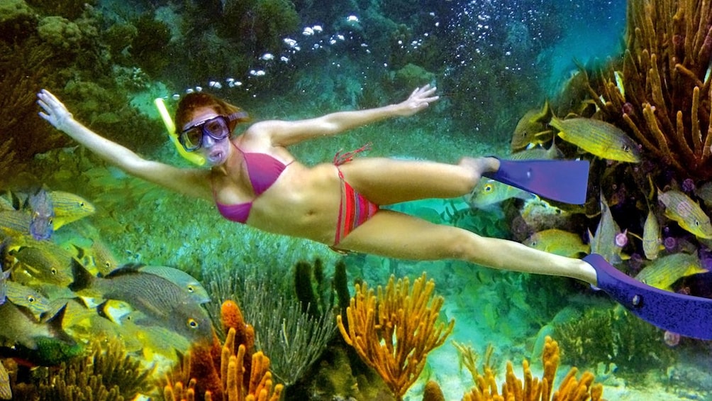 snorkeler waving from underwater in Cancun
