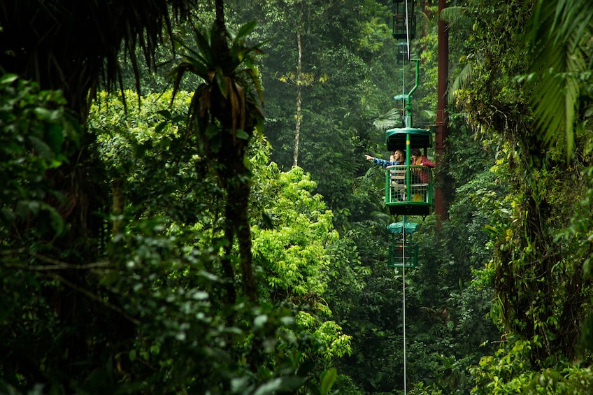 Open-Air Rainforest Gondola Flight