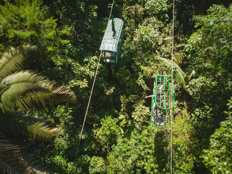 Open-Air Rainforest Gondola Flight