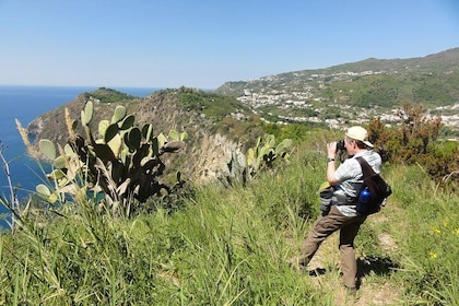 Half-day east coast hike in Ischia island with pick-up