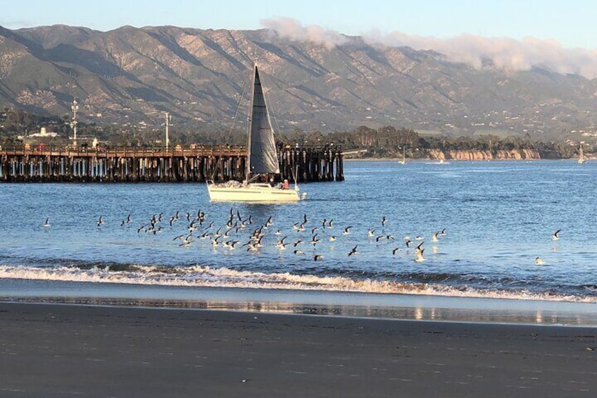 Santa Barbara Sweeping Views from The Sandbar