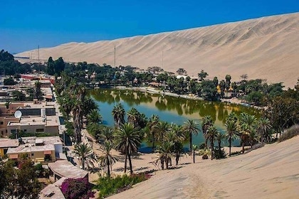 Full Day Paracas - Ica - Oasis Huacachina