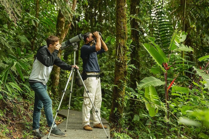 Show item 2 of 10. Bird-Watching Tour at Rainforest Adventures Park