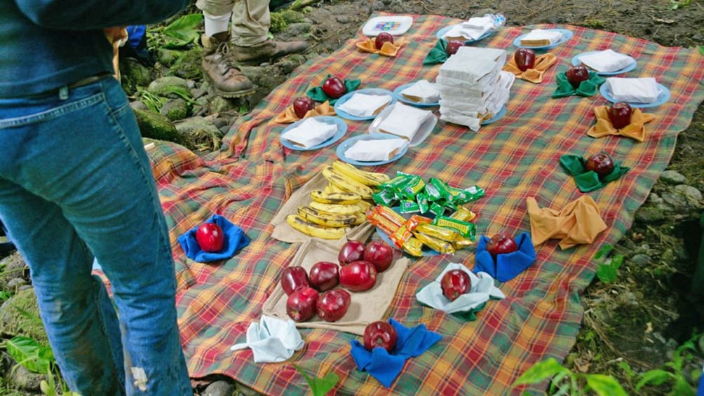 small picnic lunch in Costa Rica