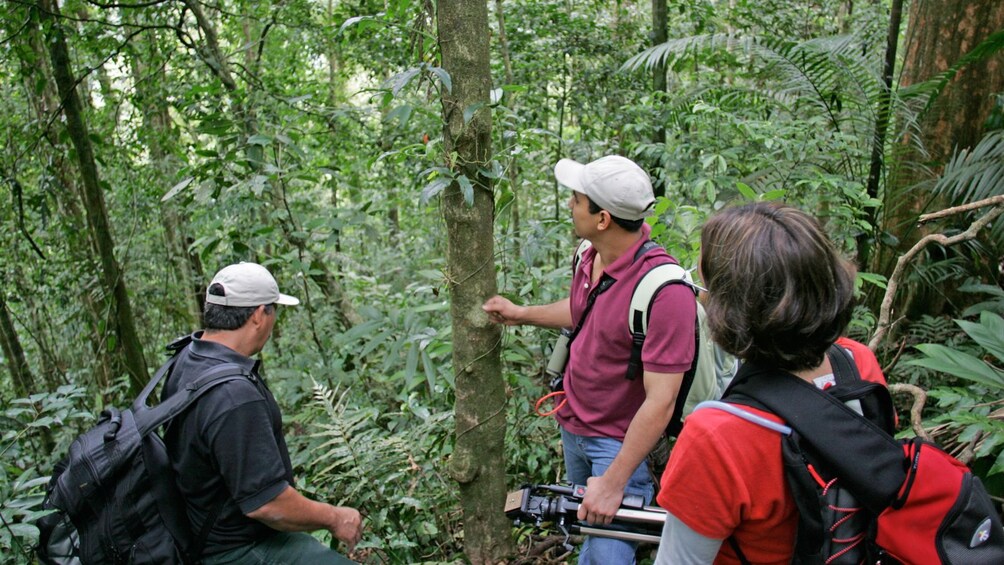 hikers navigating through the jungle in Costa Rica