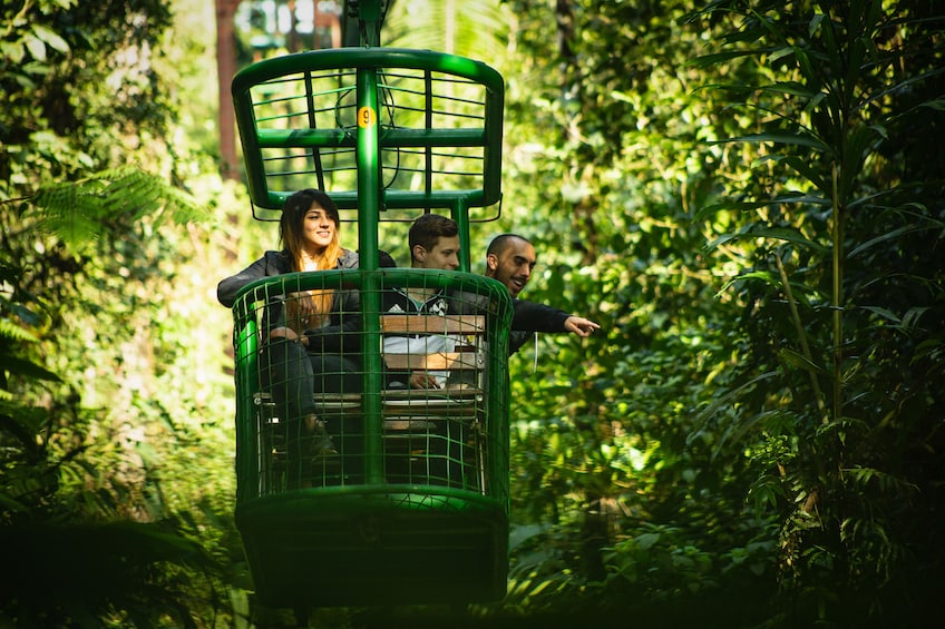 Show item 4 of 10. 6-in-1 Rainforest Eco-Adventure