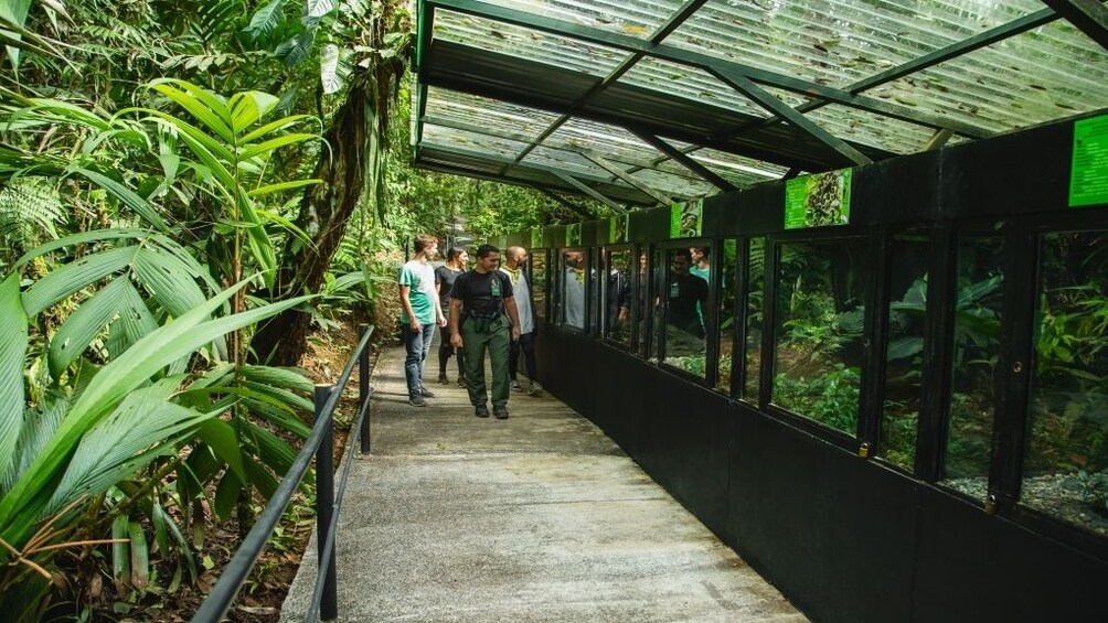 Show item 5 of 10. 6-in-1 Rainforest Eco-Adventure