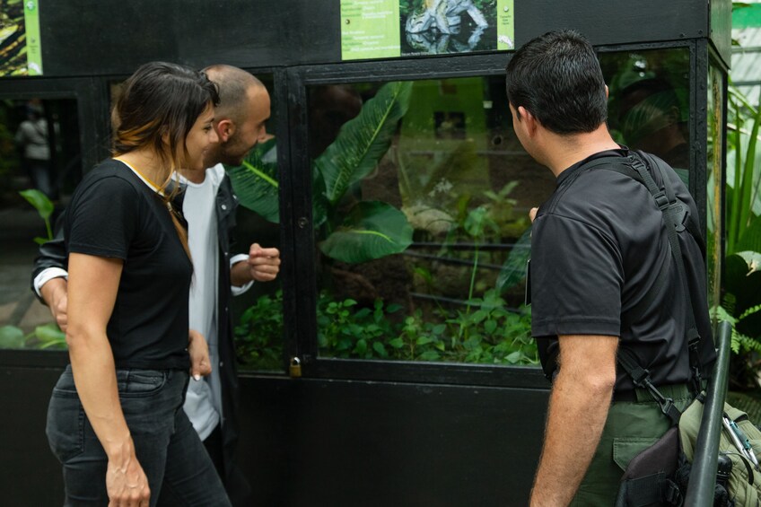 Show item 2 of 10. 6-in-1 Rainforest Eco-Adventure