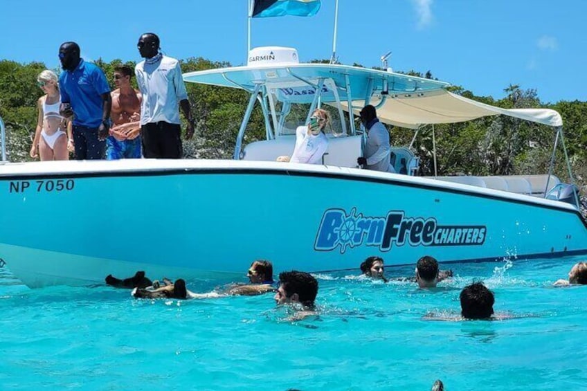 Yes, they really do swim!