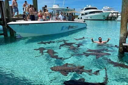 Exuma Island Hopping and Swimming Pigs Tour with Lunch