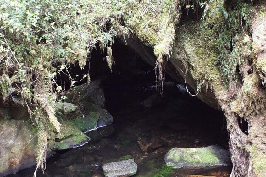 Wet cave