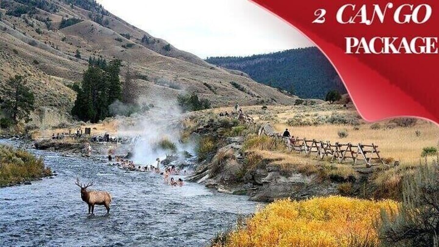 Yellowstone & Grand Teton National Parks: Small Group 6-Day Tour