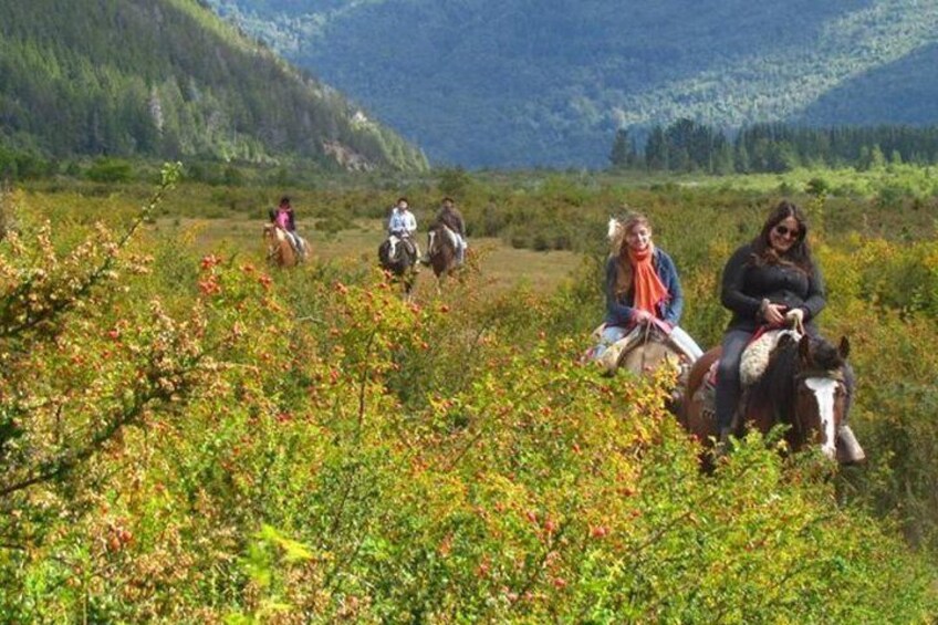 Los Baqueanos Lake Gutierrez Horseback Riding