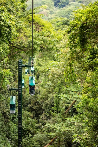 Costa Rica Rainforest Guided Tram Tour