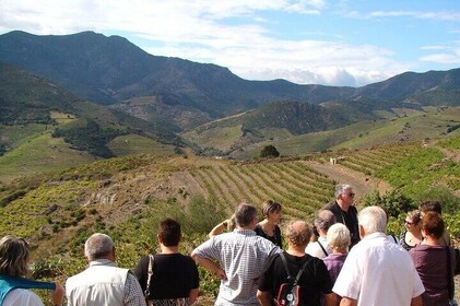 Hiking in the vineyards of Banyuls-sur-Mer