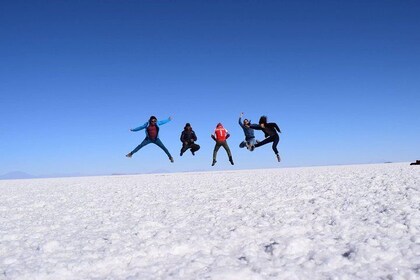 Salar De Uyuni 2 Days 1 Night. Spanish Driver/Guide. Lagunas Ruta.