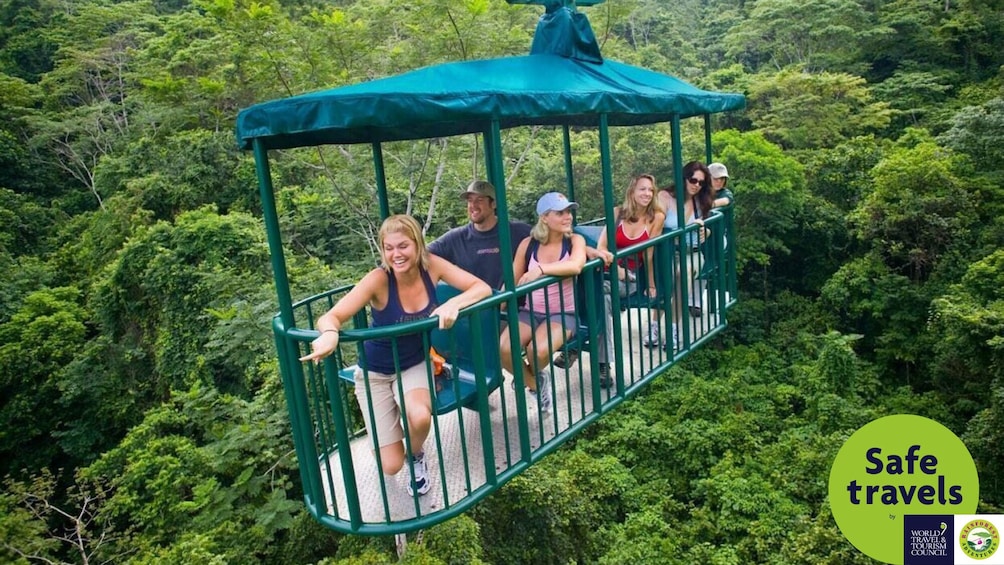 Tranopy Rainforest Sightseeing Tour