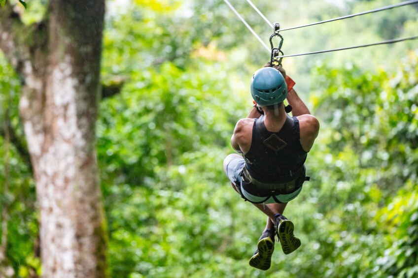 Canopy Zip line & Aerial Tram