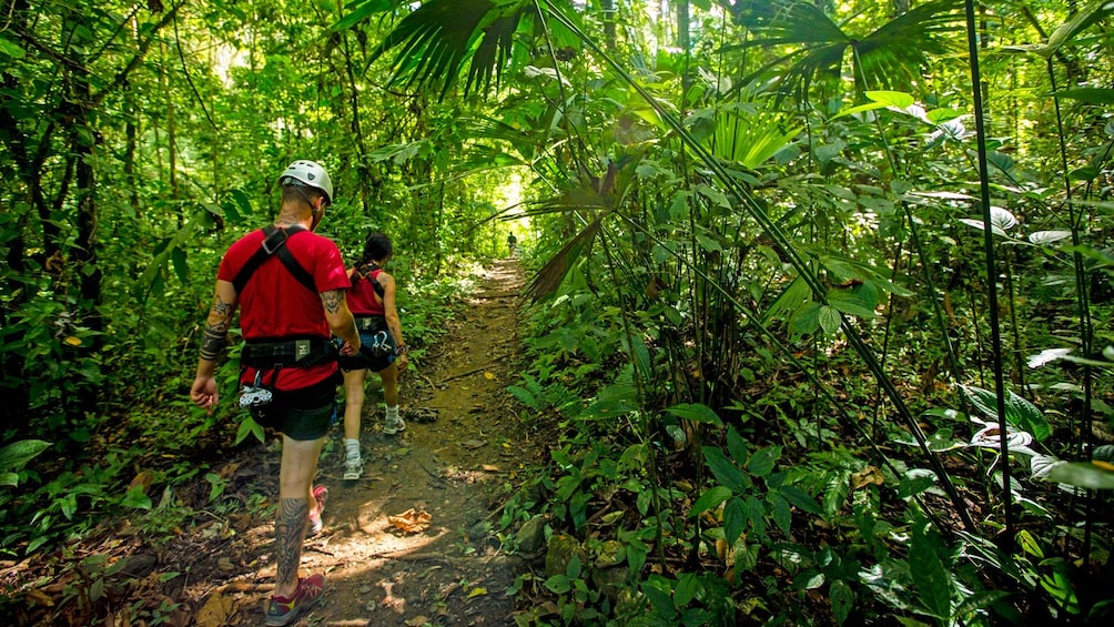 hiking through a trail in Costa Rica